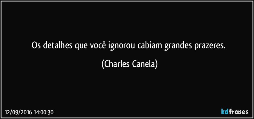 Os detalhes que você ignorou cabiam grandes prazeres. (Charles Canela)