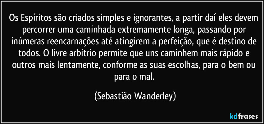 Os Espíritos são criados simples e ignorantes, a partir daí eles devem percorrer uma caminhada extremamente longa, passando por inúmeras reencarnações até atingirem a perfeição, que é destino de todos. O livre arbítrio permite que uns caminhem mais rápido e outros mais lentamente, conforme as suas escolhas, para o bem ou para o mal. (Sebastião Wanderley)