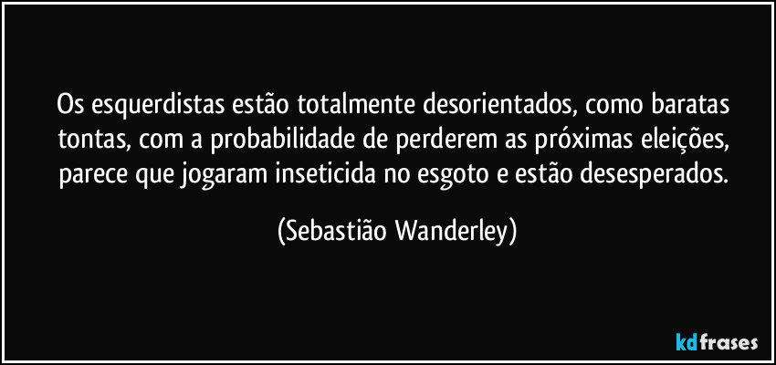 Os esquerdistas estão totalmente desorientados, como baratas tontas, com a probabilidade de perderem as próximas eleições, parece que jogaram inseticida no esgoto e estão desesperados. (Sebastião Wanderley)