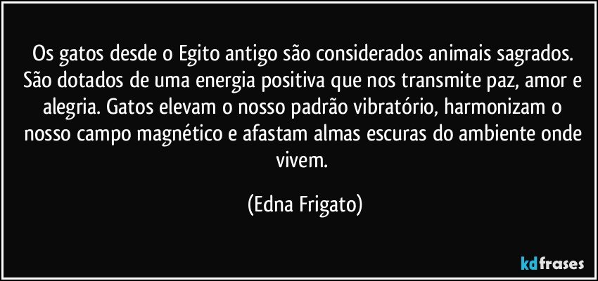 Os gatos desde o Egito antigo são considerados animais sagrados. São dotados de uma energia positiva que nos transmite paz, amor e alegria. Gatos elevam o nosso padrão vibratório, harmonizam o nosso campo magnético e afastam almas escuras do ambiente onde vivem. (Edna Frigato)