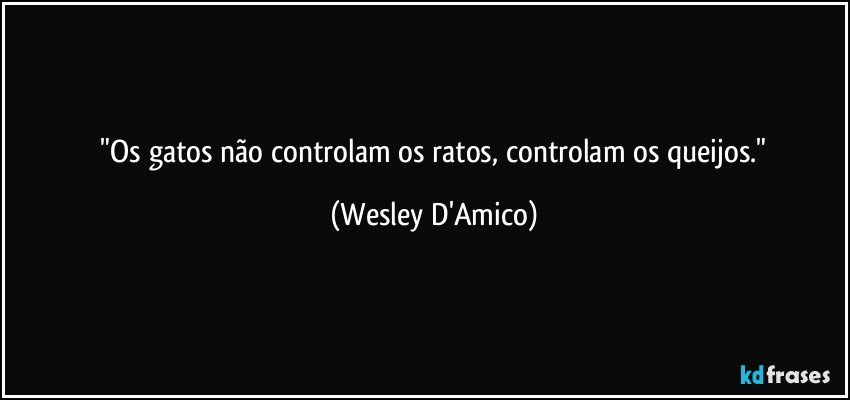 ⁠"Os gatos não controlam os ratos, controlam os queijos." (Wesley D'Amico)