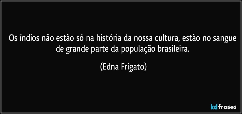 Os índios não estão só na história da nossa cultura, estão no sangue de grande parte da população brasileira. (Edna Frigato)