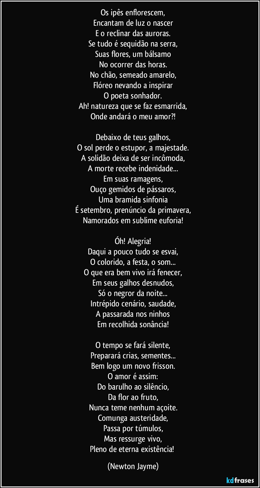 Os ipês enflorescem,
Encantam de luz o nascer
E o reclinar das auroras.
Se tudo é sequidão na serra,
Suas flores, um bálsamo
No ocorrer das horas.
No chão, semeado amarelo,
Flóreo nevando a inspirar
O poeta sonhador.
Ah! natureza que se faz esmarrida,
Onde andará o meu amor?!

Debaixo de teus galhos,
O sol perde o estupor, a majestade.
A solidão deixa de ser incômoda,
A morte recebe indenidade...
Em suas ramagens,
Ouço gemidos de pássaros,
Uma bramida sinfonia
É setembro, prenúncio da primavera,
Namorados em sublime euforia!

Óh! Alegria!
Daqui a pouco tudo se esvai,
O colorido, a festa, o som...
O que era bem vivo irá fenecer,
Em seus galhos desnudos,
Só o negror da noite...
Intrépido cenário, saudade,
A passarada nos ninhos
Em recolhida sonância!

O tempo se fará silente,
Preparará crias, sementes...
Bem logo um novo frisson.
O amor é assim:
Do barulho ao silêncio,
Da flor ao fruto,
Nunca teme nenhum açoite.
Comunga austeridade,
Passa por túmulos,
Mas ressurge vivo,
Pleno de eterna existência! (Newton Jayme)