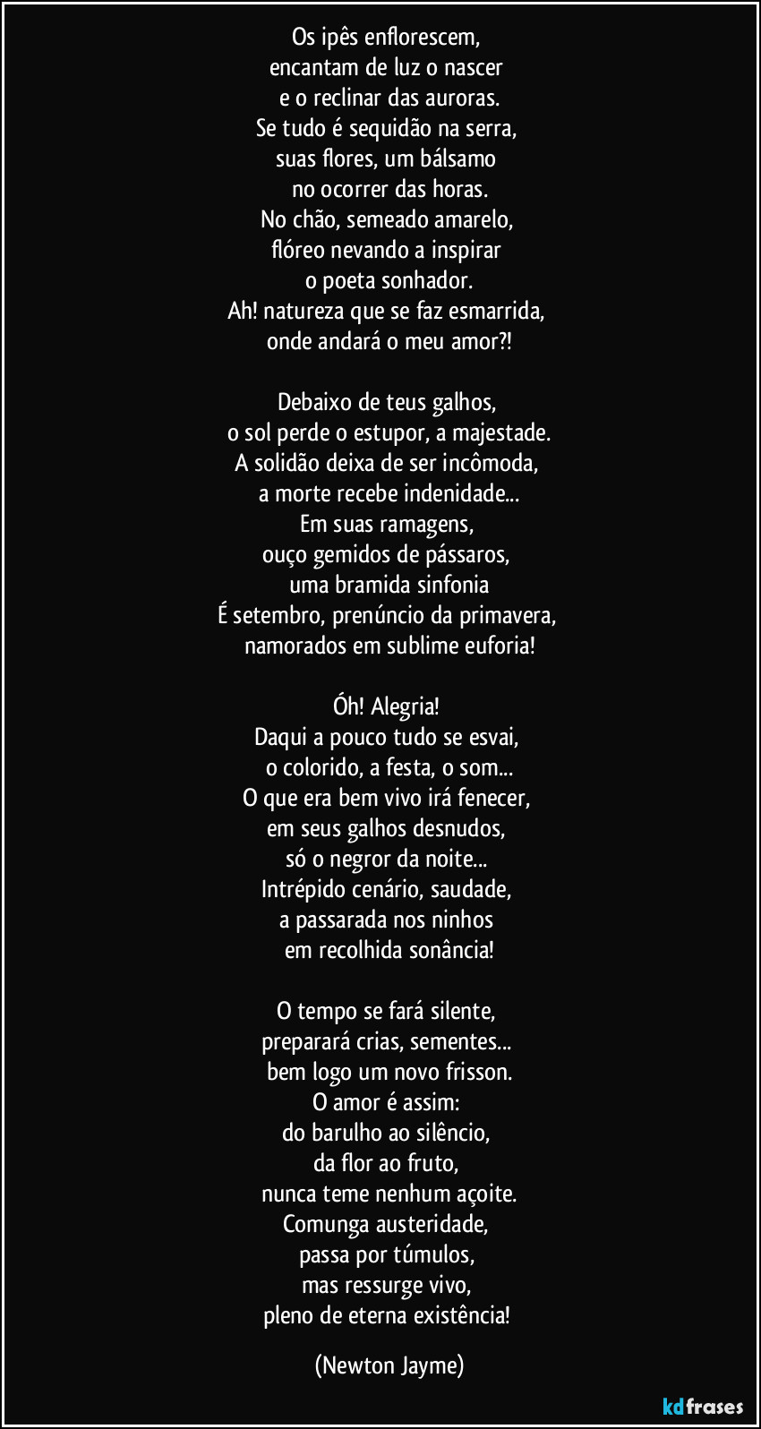 Os ipês enflorescem, 
encantam de luz o nascer 
e o reclinar das auroras.
Se tudo é sequidão na serra, 
suas flores, um bálsamo 
no ocorrer das horas.
No chão, semeado amarelo, 
flóreo nevando a inspirar 
o poeta sonhador.
Ah! natureza que se faz esmarrida, 
onde andará o meu amor?!

Debaixo de teus galhos, 
o sol perde o estupor, a majestade.
A solidão deixa de ser incômoda, 
a morte recebe indenidade...
Em suas ramagens, 
ouço gemidos de pássaros, 
uma bramida sinfonia
É setembro, prenúncio da primavera, 
namorados em sublime euforia!

Óh! Alegria! 
Daqui a pouco tudo se esvai, 
o colorido, a festa, o som...
O que era bem vivo irá fenecer, 
em seus galhos desnudos, 
só o negror da noite...  
Intrépido cenário, saudade, 
a passarada nos ninhos 
em recolhida sonância!

O tempo se fará silente, 
preparará crias, sementes... 
bem logo um novo frisson.
O amor é assim: 
do barulho ao silêncio, 
da flor ao fruto, 
nunca teme nenhum açoite.
Comunga austeridade, 
passa por túmulos, 
mas ressurge vivo, 
pleno de eterna existência! (Newton Jayme)