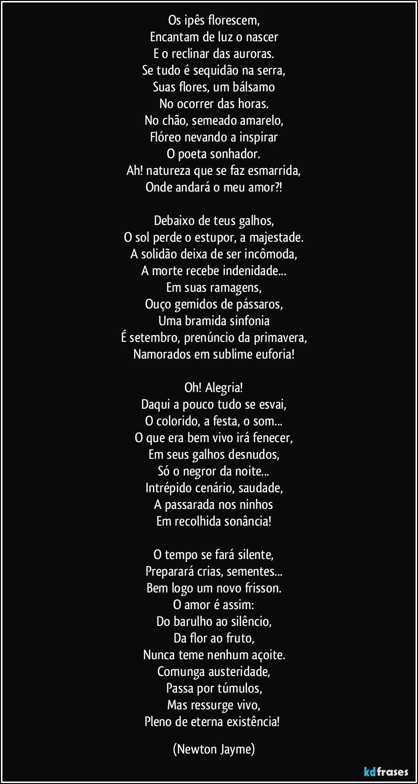 Os ipês florescem,
Encantam de luz o nascer
E o reclinar das auroras.
Se tudo é sequidão na serra,
Suas flores, um bálsamo
No ocorrer das horas.
No chão, semeado amarelo,
Flóreo nevando a inspirar
O poeta sonhador.
Ah! natureza que se faz esmarrida,
Onde andará o meu amor?!

Debaixo de teus galhos,
O sol perde o estupor, a majestade.
A solidão deixa de ser incômoda,
A morte recebe indenidade...
Em suas ramagens,
Ouço gemidos de pássaros,
Uma bramida sinfonia
É setembro, prenúncio da primavera,
Namorados em sublime euforia!

Oh! Alegria!
Daqui a pouco tudo se esvai,
O colorido, a festa, o som...
O que era bem vivo irá fenecer,
Em seus galhos desnudos,
Só o negror da noite...
Intrépido cenário, saudade,
A passarada nos ninhos
Em recolhida sonância!

O tempo se fará silente,
Preparará crias, sementes...
Bem logo um novo frisson.
O amor é assim:
Do barulho ao silêncio,
Da flor ao fruto,
Nunca teme nenhum açoite.
Comunga austeridade,
Passa por túmulos,
Mas ressurge vivo,
Pleno de eterna existência! (Newton Jayme)