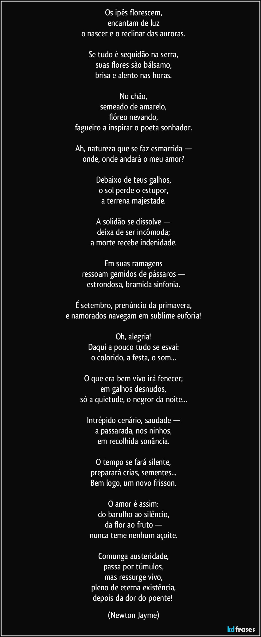Os ipês florescem,
encantam de luz
o nascer e o reclinar das auroras.
Se tudo é sequidão na serra,
suas flores são bálsamo,
brisa e alento nas horas.
No chão,
semeado de amarelo,
flóreo nevando,
fagueiro a inspirar o poeta sonhador.
Ah, natureza que se faz esmarrida —
onde, onde andará o meu amor?
Debaixo de teus galhos,
o sol perde o estupor,
a terrena majestade.
A solidão se dissolve —
deixa de ser incômoda;
a morte recebe indenidade.
Em suas ramagens
ressoam gemidos de pássaros —
estrondosa, bramida sinfonia.
É setembro, prenúncio da primavera,
e namorados navegam em sublime euforia!
Oh, alegria!
Daqui a pouco tudo se esvai:
o colorido, a festa, o som...
O que era bem vivo irá fenecer;
em galhos desnudos,
só a quietude, o negror da noite...
Intrépido cenário, saudade —
a passarada, nos ninhos,
em recolhida sonância.
O tempo se fará silente,
preparará crias, sementes...
Bem logo, um novo frisson.
O amor é assim:
do barulho ao silêncio,
da flor ao fruto —
nunca teme nenhum açoite.
Comunga austeridade,
passa por túmulos,
mas ressurge vivo,
pleno de eterna existência,
depois da dor do poente! (Newton Jayme)