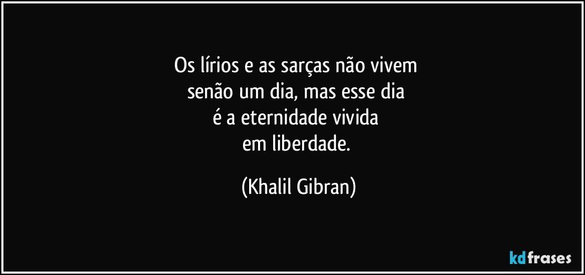 Os lírios e as sarças não vivem 
senão um dia, mas esse dia 
é a eternidade vivida 
em liberdade. (Khalil Gibran)