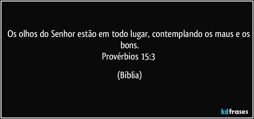 Os olhos do Senhor estão em todo lugar, contemplando os maus e os bons.
Provérbios 15:3 (Bíblia)