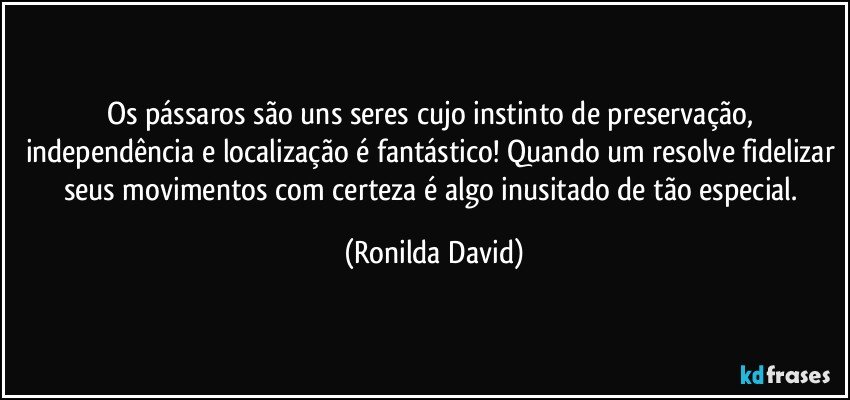 Os pássaros são uns seres cujo instinto de preservação, independência e localização é fantástico! Quando um resolve fidelizar seus movimentos com certeza é algo inusitado de tão especial. (Ronilda David)