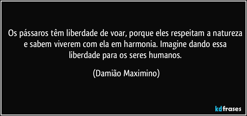 Os pássaros têm liberdade de voar, porque eles respeitam a natureza e sabem viverem com ela em harmonia. Imagine dando essa liberdade para os seres humanos. (Damião Maximino)