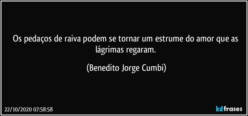 Os pedaços de raiva podem se tornar um estrume do amor que as lágrimas regaram. (Benedito Jorge Cumbi)