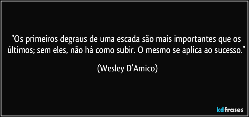 "Os primeiros degraus de uma escada são mais importantes que os últimos; sem eles, não há como subir. O mesmo se aplica ao sucesso." (Wesley D'Amico)