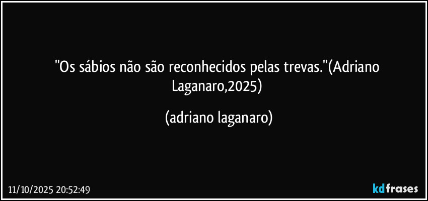 "Os sábios não são reconhecidos pelas trevas."(Adriano Laganaro,2025) (adriano laganaro)