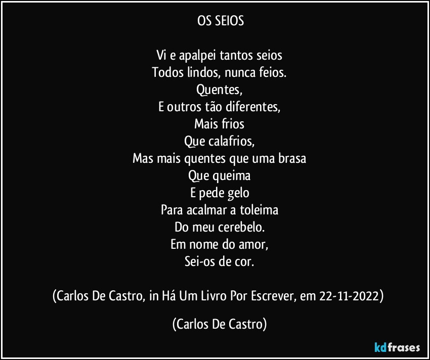 ⁠OS SEIOS

Vi e apalpei tantos seios
Todos lindos, nunca feios.
Quentes,
E outros tão diferentes,
Mais frios
Que calafrios,
Mas mais quentes que uma brasa
Que queima
E pede gelo
Para acalmar a toleima
Do meu cerebelo.
Em nome do amor,
Sei-os de cor.

(Carlos De Castro, in Há Um Livro Por Escrever, em 22-11-2022) (Carlos De Castro)