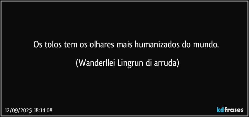 Os tolos tem os olhares mais humanizados do mundo. (Wanderllei Lingrun di arruda)