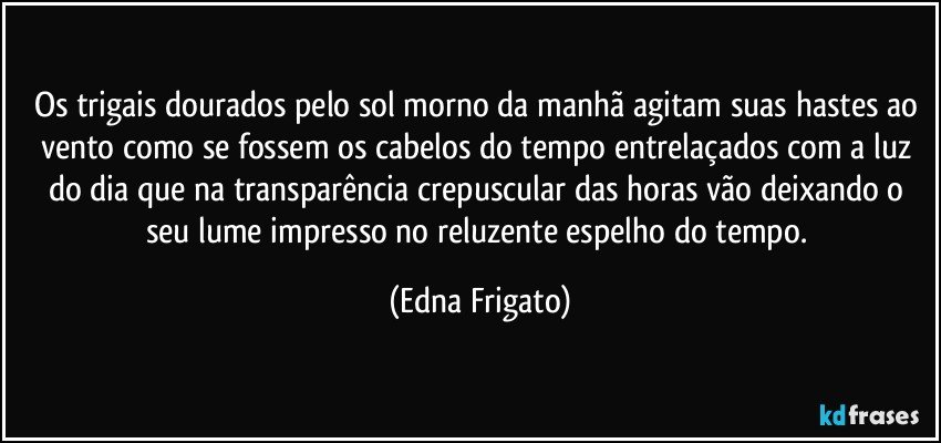 Os trigais dourados pelo sol morno da manhã agitam suas hastes ao vento como se fossem os cabelos do tempo entrelaçados com a luz do dia que na transparência crepuscular das horas vão deixando o seu lume impresso no reluzente espelho do tempo. (Edna Frigato)