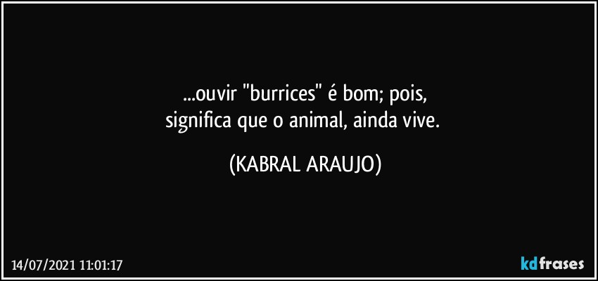 ...ouvir "burrices" é  bom; pois,
significa que o animal, ainda vive. (KABRAL ARAUJO)