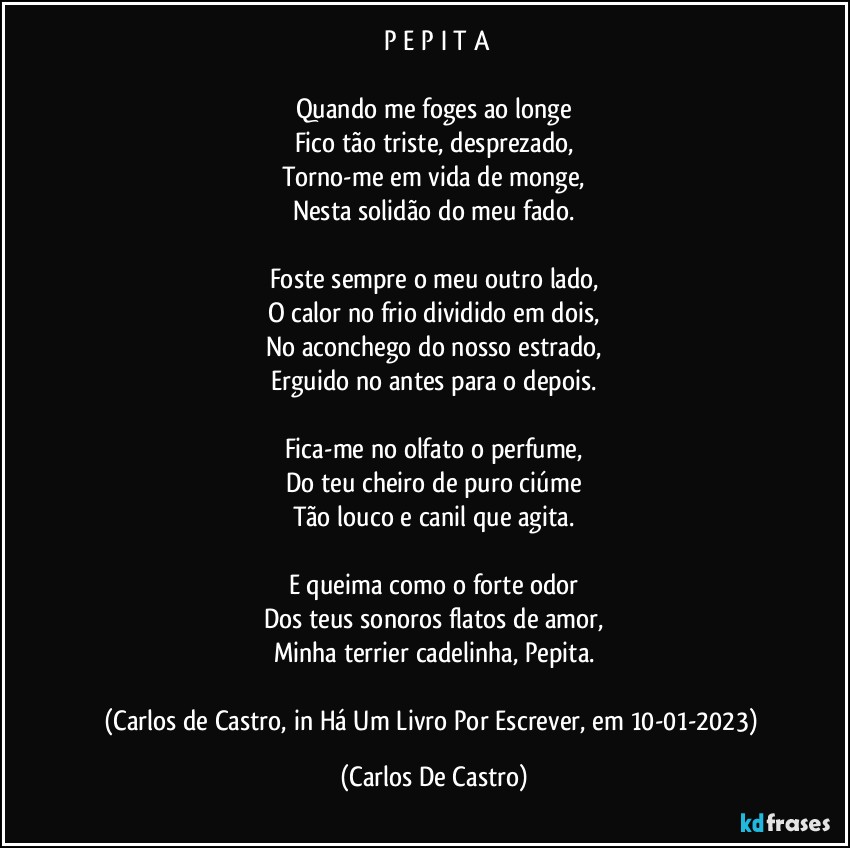 ⁠P E P I T A

Quando me foges ao longe
Fico tão triste, desprezado,
Torno-me em vida de monge,
Nesta solidão do meu fado.

Foste sempre o meu outro lado,
O calor no frio dividido em dois,
No aconchego do nosso estrado,
Erguido no antes para o depois.

Fica-me no olfato o perfume,
Do teu cheiro de puro ciúme
Tão louco e canil que agita.

E queima como o forte odor
Dos teus sonoros flatos de amor,
Minha terrier cadelinha, Pepita.

(Carlos de Castro, in Há Um Livro Por Escrever, em 10-01-2023) (Carlos De Castro)