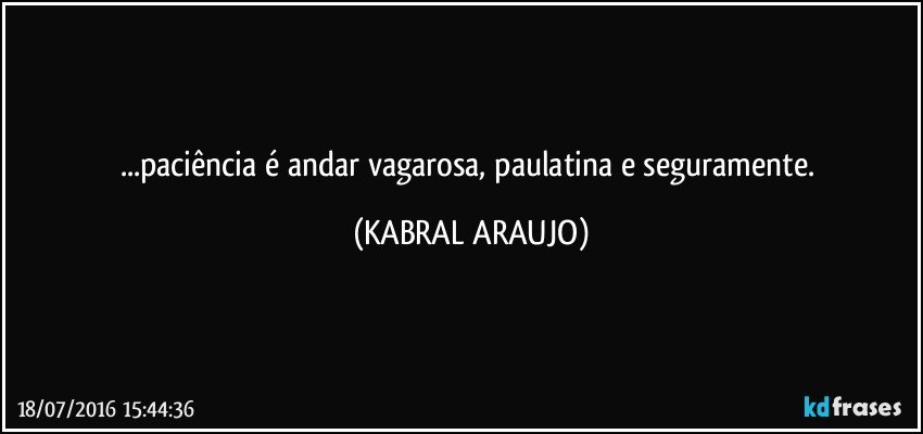 ...paciência é andar vagarosa, paulatina e seguramente. (KABRAL ARAUJO)