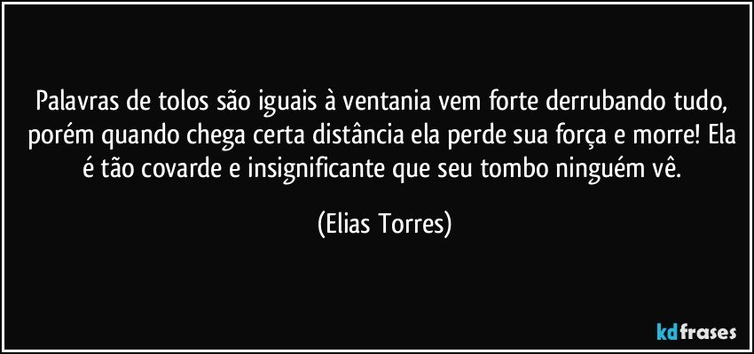 Palavras de tolos são iguais à ventania vem forte derrubando tudo, porém quando chega certa distância ela perde sua força e morre! Ela é tão covarde e insignificante que seu tombo ninguém vê. (Elias Torres)