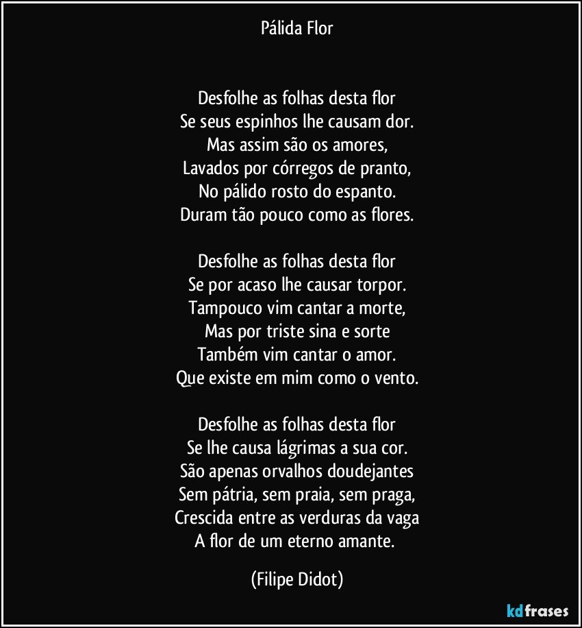 Pálida Flor


Desfolhe as folhas desta flor
Se seus espinhos lhe causam dor.
Mas assim são os amores,
Lavados por córregos de pranto,
No pálido rosto do espanto.
Duram tão pouco como as flores.

Desfolhe as folhas desta flor
Se por acaso lhe causar torpor.
Tampouco vim cantar a morte,
Mas por triste sina e sorte
Também vim cantar o amor.
Que existe em mim como o vento.
	
Desfolhe as folhas desta flor
Se lhe causa lágrimas a sua cor.
São apenas orvalhos doudejantes
Sem pátria, sem praia, sem praga,
Crescida entre as verduras da vaga
A flor de um eterno amante. (Filipe Didot)