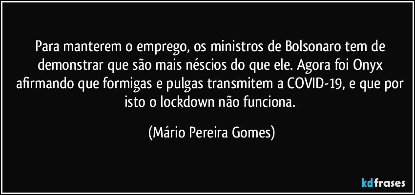 Para manterem o emprego, os ministros de Bolsonaro tem de demonstrar que são mais néscios do que ele. Agora foi Onyx afirmando que formigas e pulgas transmitem a COVID-19, e que por isto o lockdown não funciona. (Mário Pereira Gomes)