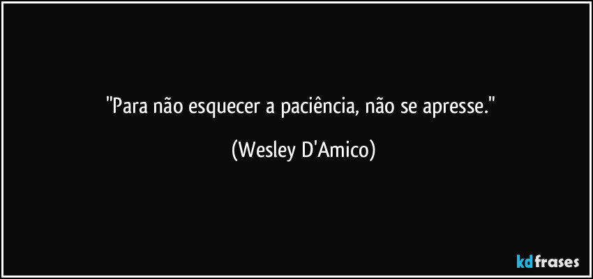 "Para não esquecer a paciência, não se apresse." (Wesley D'Amico)