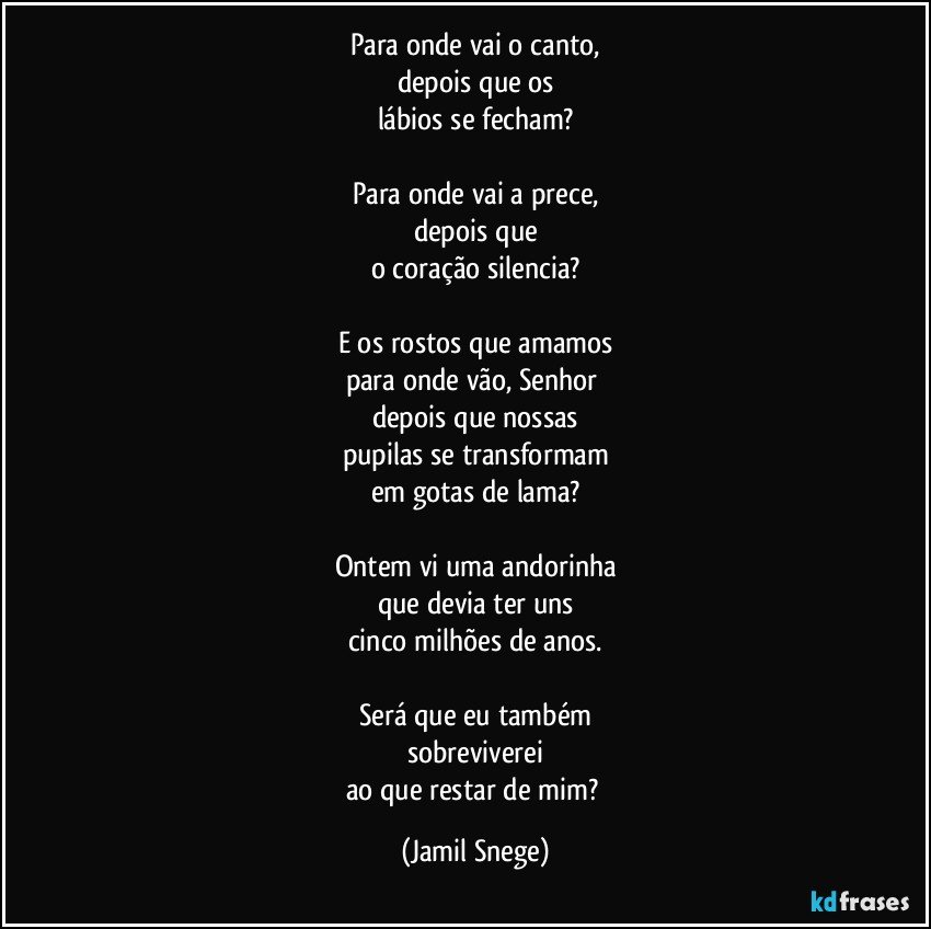 Para onde vai o canto,
depois que os
lábios se fecham?

Para onde vai a prece,
depois que
o coração silencia?

E os rostos que amamos
para onde vão, Senhor 
depois que nossas
pupilas se transformam
em gotas de lama?

Ontem vi uma andorinha
que devia ter uns
cinco milhões de anos.

Será que eu também
sobreviverei
ao que restar de mim? (Jamil Snege)