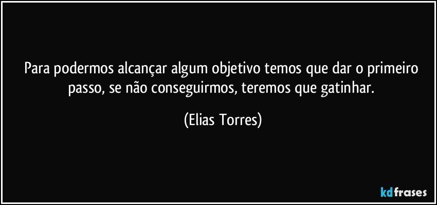 Para podermos alcançar algum objetivo temos que dar o primeiro passo, se não conseguirmos, teremos que gatinhar. (Elias Torres)