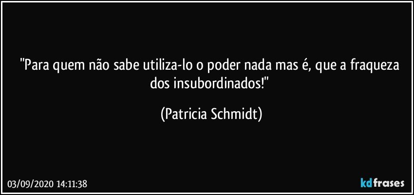 "Para quem não sabe utiliza-lo o poder nada mas é, que a fraqueza dos insubordinados!" (Patricia Schmidt)