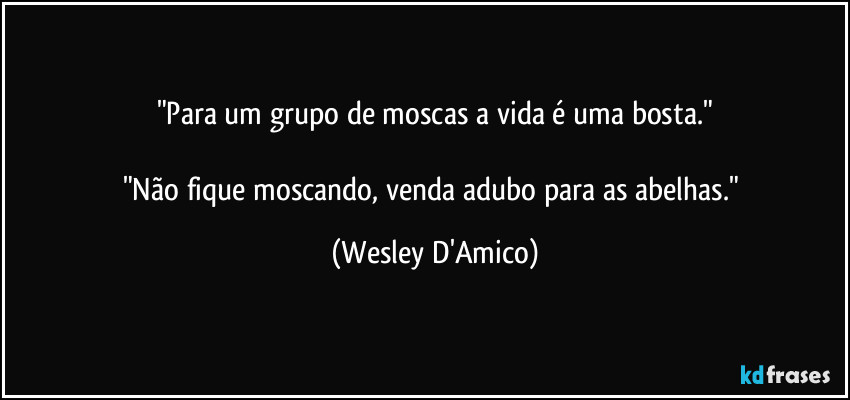 "Para um grupo de moscas a vida é uma bosta."

"Não fique moscando, venda adubo para as abelhas." (Wesley D'Amico)