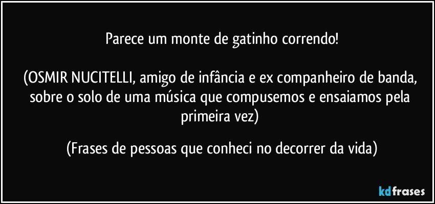 Parece um monte de gatinho correndo!

(OSMIR NUCITELLI, amigo de infância e ex companheiro de banda, sobre o solo de uma música que compusemos e ensaiamos pela primeira vez) (Frases de pessoas que conheci no decorrer da vida)