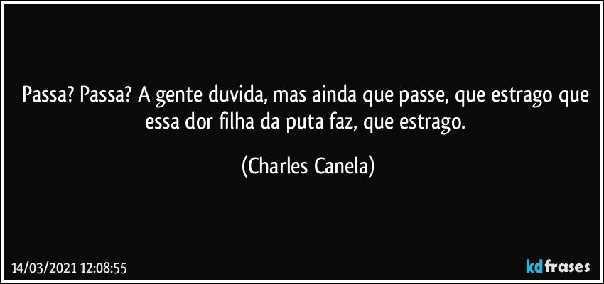 Passa? Passa? A gente duvida, mas ainda que passe, que estrago que essa dor filha da puta faz, que estrago. (Charles Canela)