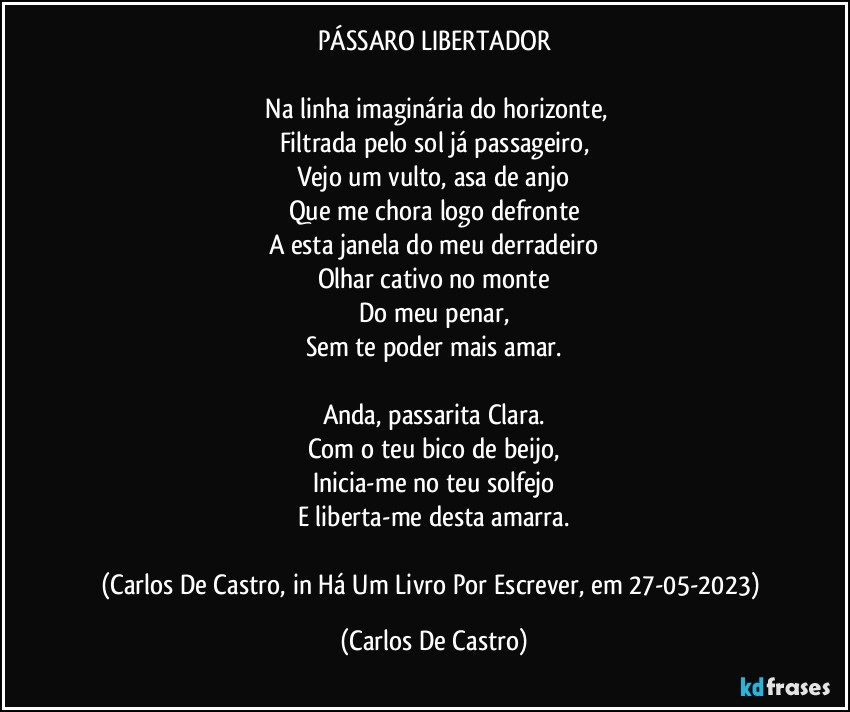 PÁSSARO LIBERTADOR

⁠Na linha imaginária do horizonte,
Filtrada pelo sol já passageiro,
Vejo um vulto, asa de anjo
Que me chora logo defronte
A esta janela do meu derradeiro
Olhar cativo no monte
Do meu penar,
Sem te poder mais amar.

Anda, passarita Clara.
Com o teu bico de beijo,
Inicia-me no teu solfejo
E liberta-me desta amarra.

(Carlos De Castro, in Há Um Livro Por Escrever, em 27-05-2023) (Carlos De Castro)