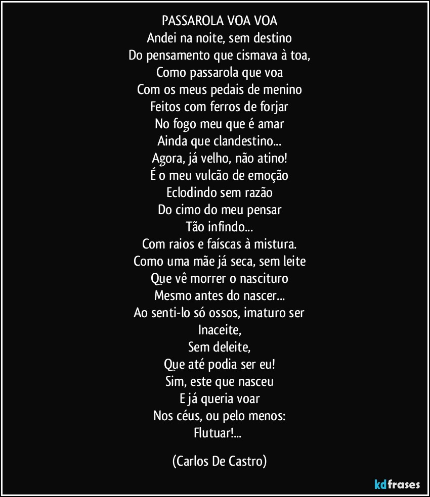 PASSAROLA VOA VOA
Andei na noite, sem destino
Do pensamento que cismava à toa,
Como passarola que voa
Com os meus pedais de menino
Feitos com ferros de forjar
No fogo meu que é amar
Ainda que clandestino...
Agora, já velho, não atino!
É o meu vulcão de emoção
Eclodindo sem razão
Do cimo do meu pensar
Tão infindo...
Com raios e faíscas à mistura.
Como uma mãe já seca, sem leite
Que vê morrer o nascituro
Mesmo antes do nascer...
Ao senti-lo só ossos, imaturo ser
Inaceite,
Sem deleite,
Que até podia ser eu!
Sim, este que nasceu
E já queria voar
Nos céus, ou pelo menos:
Flutuar!... (Carlos De Castro)