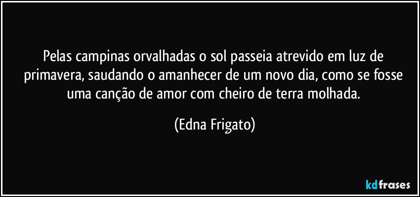 Pelas campinas orvalhadas o sol passeia atrevido em luz de primavera, saudando o amanhecer de um novo dia, como se fosse uma canção de amor com cheiro de terra molhada. (Edna Frigato)