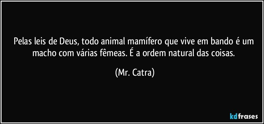 Pelas leis de Deus, todo animal mamífero que vive em bando é um macho com várias fêmeas. É a ordem natural das coisas. (Mr. Catra)