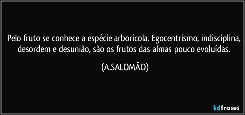 Pelo fruto se conhece a espécie arborícola. Egocentrismo, indisciplina, desordem e desunião, são os frutos das almas pouco evoluídas. (A.SALOMÃO)