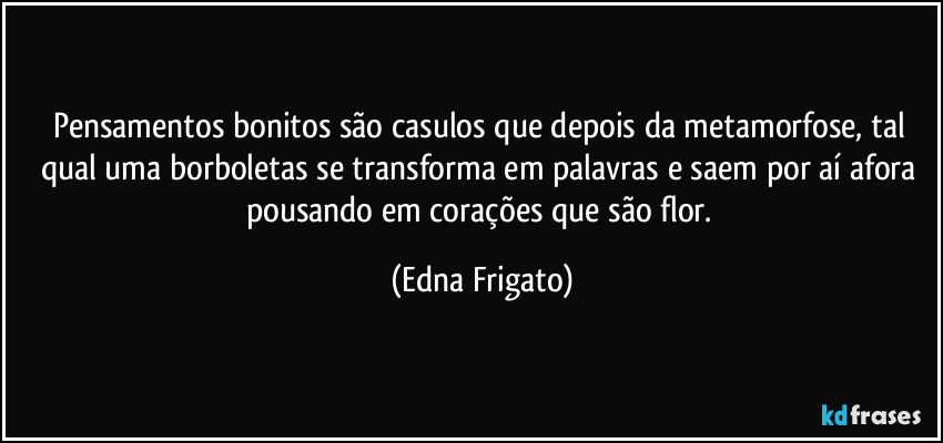Pensamentos bonitos são casulos que depois da metamorfose, tal qual uma borboletas se transforma em palavras e saem por aí afora pousando em corações que são flor. (Edna Frigato)