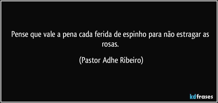 Pense que vale a pena cada ferida de espinho para não estragar as rosas. (Pastor Adhe Ribeiro)