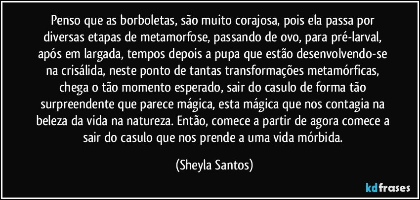 Penso que as borboletas, são muito corajosa, pois ela passa por diversas etapas de metamorfose, passando de ovo, para pré-larval, após em largada, tempos depois a pupa que estão desenvolvendo-se na crisálida, neste ponto de tantas transformações metamórficas, chega o tão momento esperado, sair do casulo de forma tão surpreendente que parece mágica, esta mágica que nos contagia na beleza da vida na natureza. Então, comece a partir de agora comece a sair do casulo que nos prende a uma vida mórbida. (Sheyla Santos)