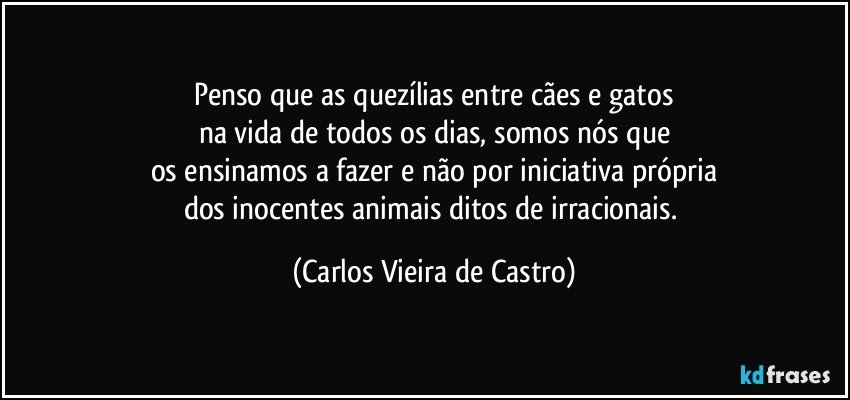 Penso que as quezílias entre cães e gatos
na vida de todos os dias, somos nós que
os ensinamos a fazer e não por iniciativa própria
dos inocentes animais ditos de irracionais. (Carlos Vieira de Castro)