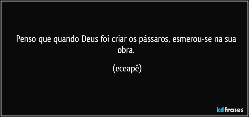 Penso que quando Deus foi criar os pássaros, esmerou-se na sua obra. (eceapê)