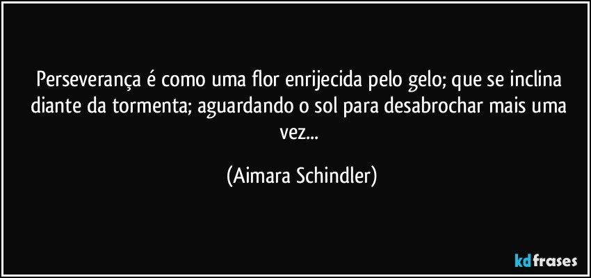 Perseverança é como  uma flor enrijecida pelo gelo; que  se inclina diante da tormenta; aguardando o sol para desabrochar mais uma vez... (Aimara Schindler)