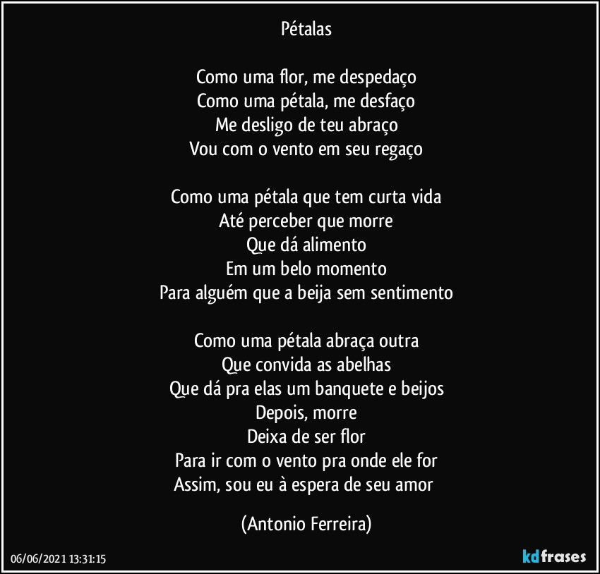 Pétalas

Como uma flor, me despedaço
Como uma pétala, me desfaço
Me desligo de teu abraço
Vou com o vento em seu regaço

Como uma pétala que tem curta vida
Até perceber que morre
Que dá alimento
Em um belo momento
Para alguém que a beija sem sentimento

Como uma pétala abraça outra
Que convida as abelhas
Que dá pra elas um banquete e beijos
Depois, morre
Deixa de ser flor
Para ir com o vento pra onde ele for
Assim, sou eu à espera de seu amor (Antonio Ferreira)
