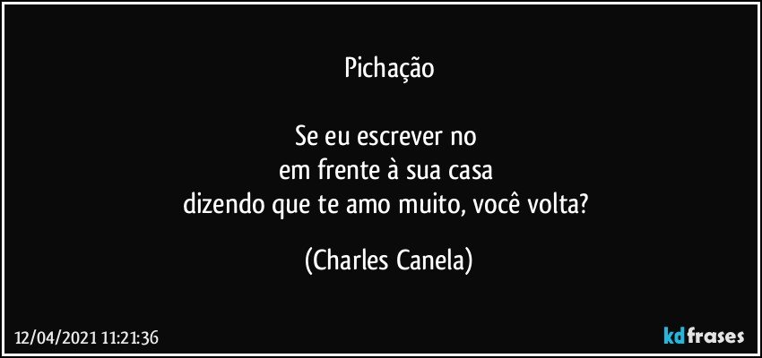 Pichação
 
Se eu escrever no 
em frente à sua casa 
dizendo que te amo muito, você volta? (Charles Canela)