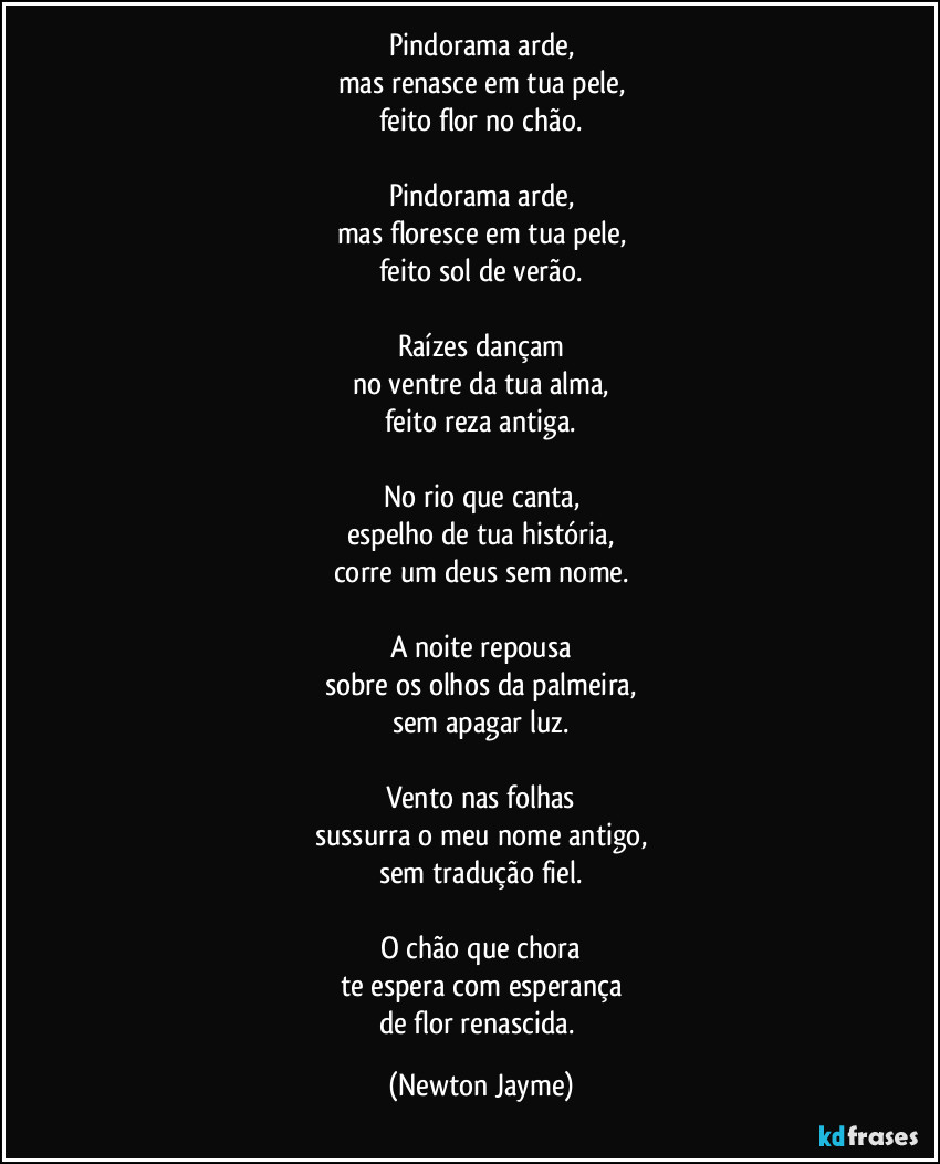 Pindorama arde,
mas renasce em tua pele,
feito flor no chão.

Pindorama arde,
mas floresce em tua pele,
feito sol de verão.

Raízes dançam
no ventre da tua alma,
feito reza antiga.

No rio que canta,
espelho de tua história,
corre um deus sem nome.

A noite repousa
sobre os olhos da palmeira,
sem apagar luz.

Vento nas folhas
sussurra o meu nome antigo,
sem tradução fiel.

O chão que chora
te espera com esperança
de flor renascida. (Newton Jayme)