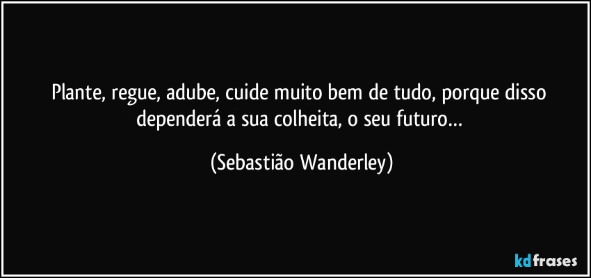 Plante, regue, adube, cuide muito bem de tudo, porque disso dependerá a sua colheita, o seu futuro… (Sebastião Wanderley)