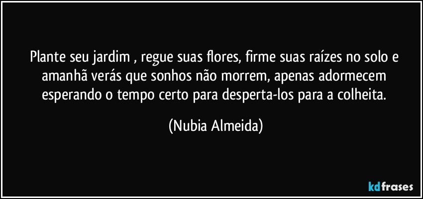 Plante seu jardim , regue suas flores, firme suas raízes no solo e amanhã verás que sonhos não morrem, apenas adormecem esperando o tempo certo para desperta-los para a colheita. (Nubia Almeida)