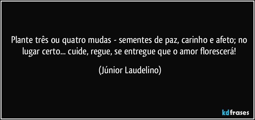 Plante três ou quatro mudas - sementes de paz, carinho e afeto; no lugar certo... cuide, regue, se entregue que o amor florescerá! (Júnior Laudelino)